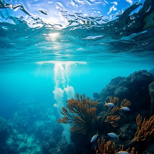 Shiun - Things I Want to Do