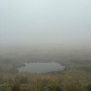 Diptanshu Roy - Hason Rajay Koy (feat. Prajna & Abhijit Kundu)