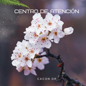 Centro de Atención by Cacon Dr
