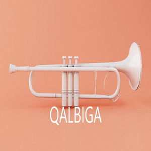 Qaliga