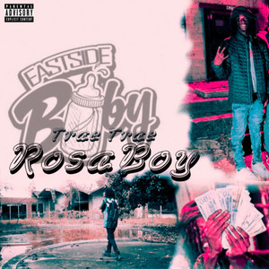 RosaBoy cover