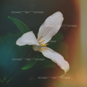 Trillium