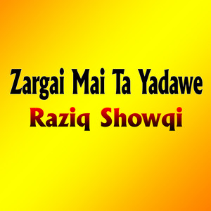 Raziq Showqi - Ta Yadawe Zargai Mai Ta Yadawe