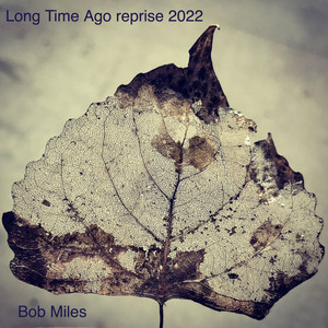Like Us by Bob Miles