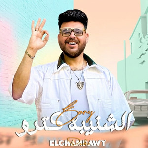 الشنيبه كترو by ديشا الغمراوى