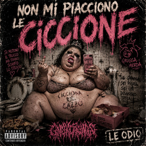 NON MI PIACCIONO LE CICCIONE by Otto Ferocity
