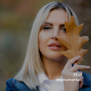 FEIN - Instrumental by luzdeluna