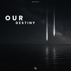 Our Destiny - Instrumental by Spleexi