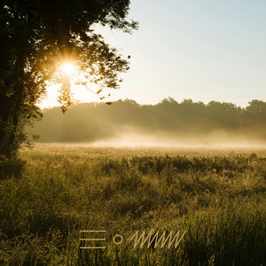 Misty Beauty by Tales of Vibrations