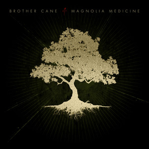 album cover: Magnolia Medicine