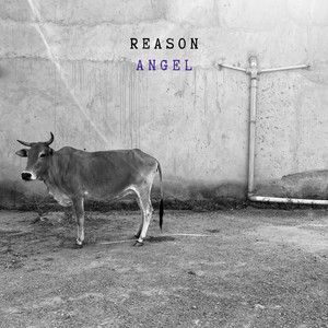 Angel by Reason