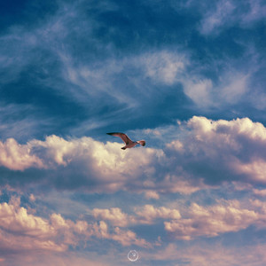 Safe and Sound by between.