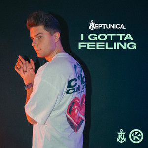 I Gotta Feeling