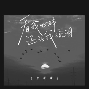 看我心碎还让我流泪 by 徐暖暖
