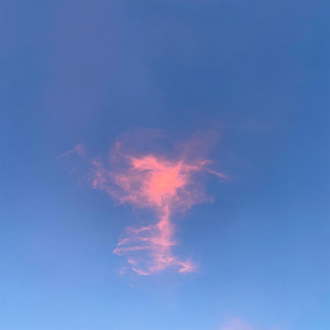 wings. by Miles Ventura