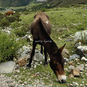 Sorry Horse - Demo by No Prospects