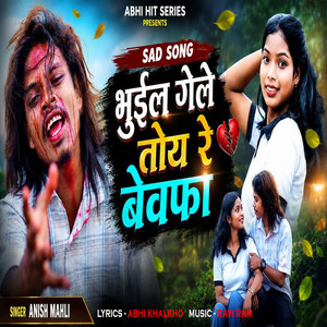 Bhuil Gele Toy Re Bewafa by Anish Mahli