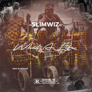 What A Life (Freestyle) by Slimwiz