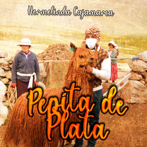 Pepita de Plata by Hermelinda Cajamarca