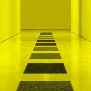 Kiwi Chroma by Dimmed Lights