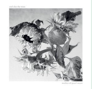 And Also The Trees | Spotify
