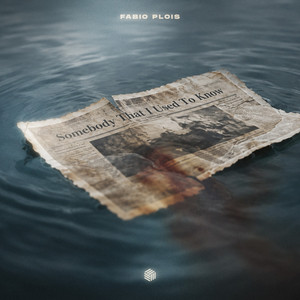 Somebody That I Used to Know by Fabio Plois