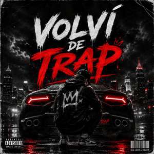 Volvi by Ariel Dollar