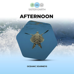 Afternoon Oceanic Journeys album