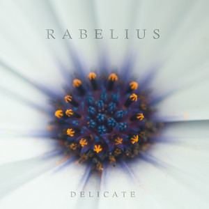 Delicate by Rabelius