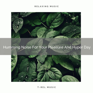 Humming Noise For Your Pleasure And Hyper Day album