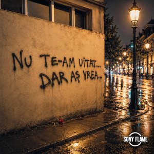 Nu te-am uitat, dar as vrea by Sonny Flame