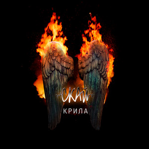 Обкладинка: Крила