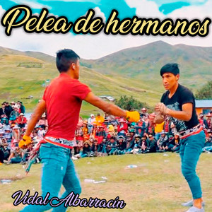 Pelea de Hermanos by Vidal Albarracín