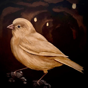 Canary