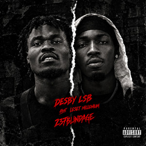 237 BLINDAGE by DESBY LSB, LESET MILLENIUM