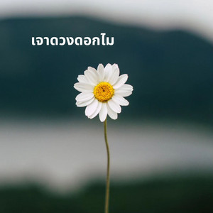 กานต์ บุษบา - เจาดวงดอกไม