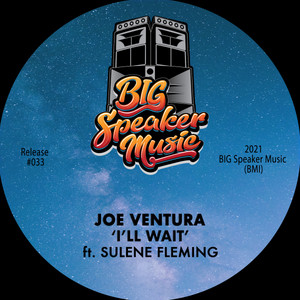 I'll Wait - Radio Edit by Joe Ventura, Sulene Fleming