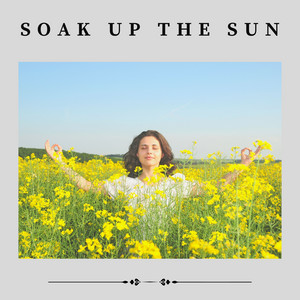 Soak up the Sun album