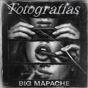 Big Mapache - Fotografias