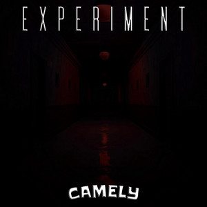 experiment