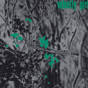 Forgotten Favorite by Velocity Girl