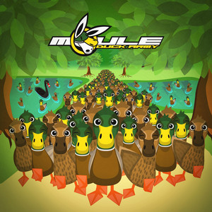 Duck Army