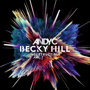 Indestructible - Extended Mix by Andy C cover art