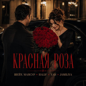 Красная роза by Шейх Мансур, Halif, ХАН, Jamiliya