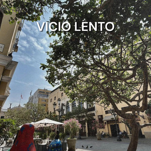 Vicio lento by Nicolas Rey