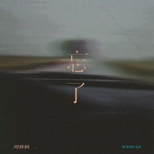 Linfeng Zhou - 忘了 (DJEva慢摇版)