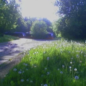 nature is outside by limerance