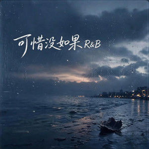 可惜沒如果 | R&B翻唱 by 王子-R&B新歌