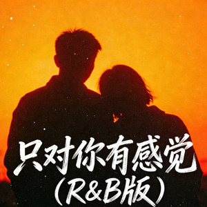 于浩野 & 星脉爆矿机 - 只对你有感觉 (R&B版)