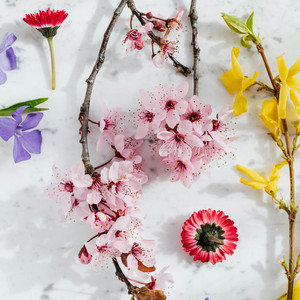 Naiara Costa Da Silva - Flowers in the Garden